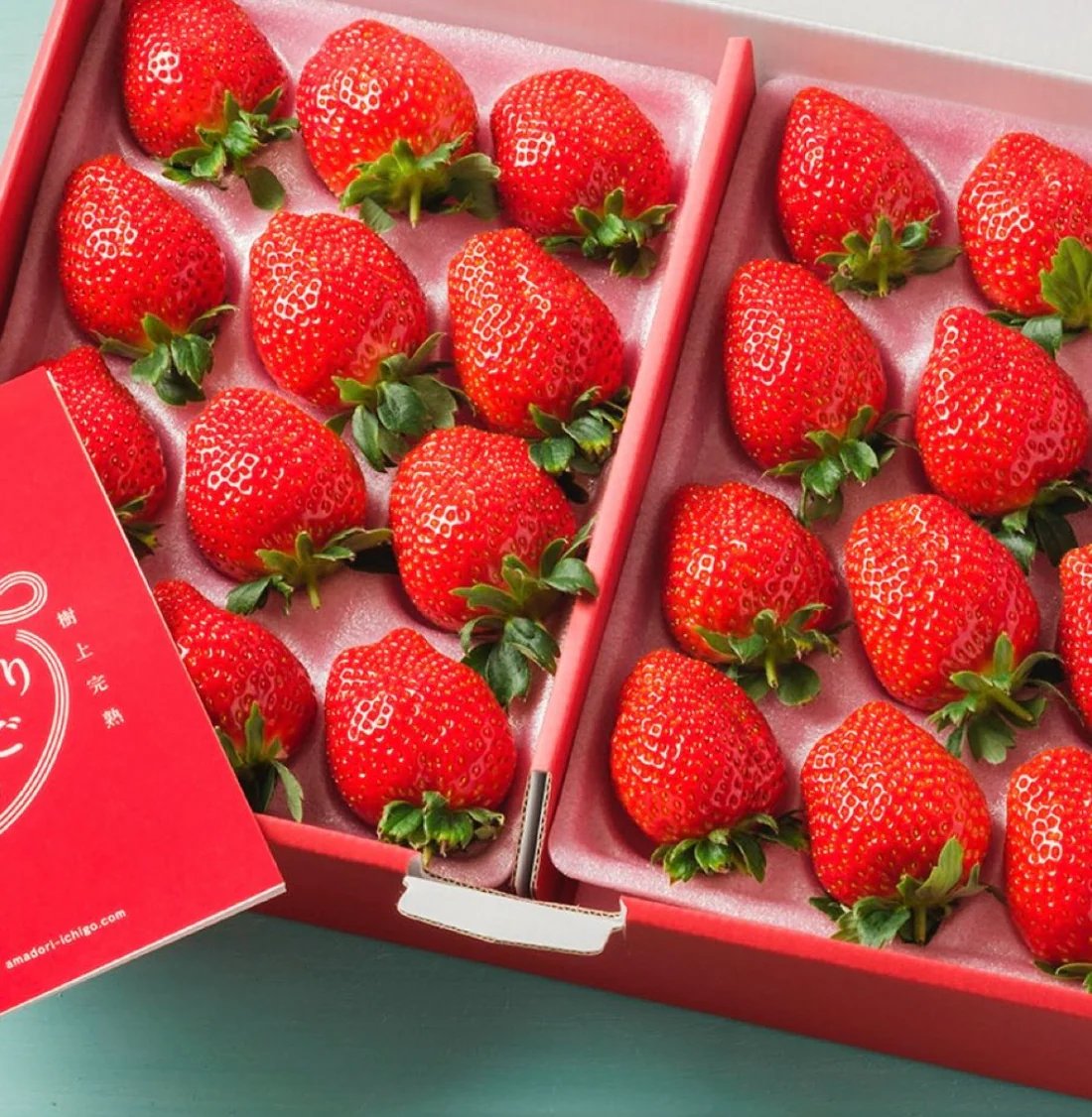 🍓 와타나베 딸기 농장 (와타나베 이치고엔) 이미지 5